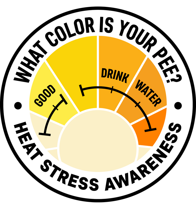 Heat Stress Awareness - What Color is Your Pee? with Markings Hard Hat Sticker